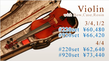 Violin