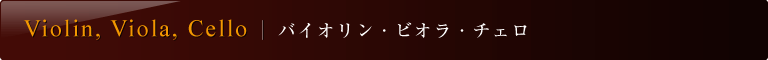 おすすめ弦楽器